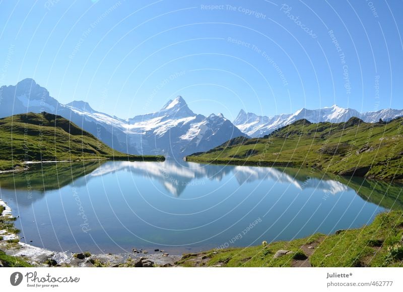 mountain mirroring Nature Landscape Earth Water Sky Cloudless sky Summer Weather Beautiful weather Grass Mountain Switzerland Peak Glacier Lake mountain lake