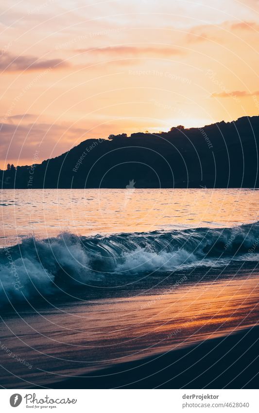 Waves on shore during sunset in Azores I Central perspective Deep depth of field Sunlight Reflection Contrast Shadow Copy Space middle Copy Space bottom