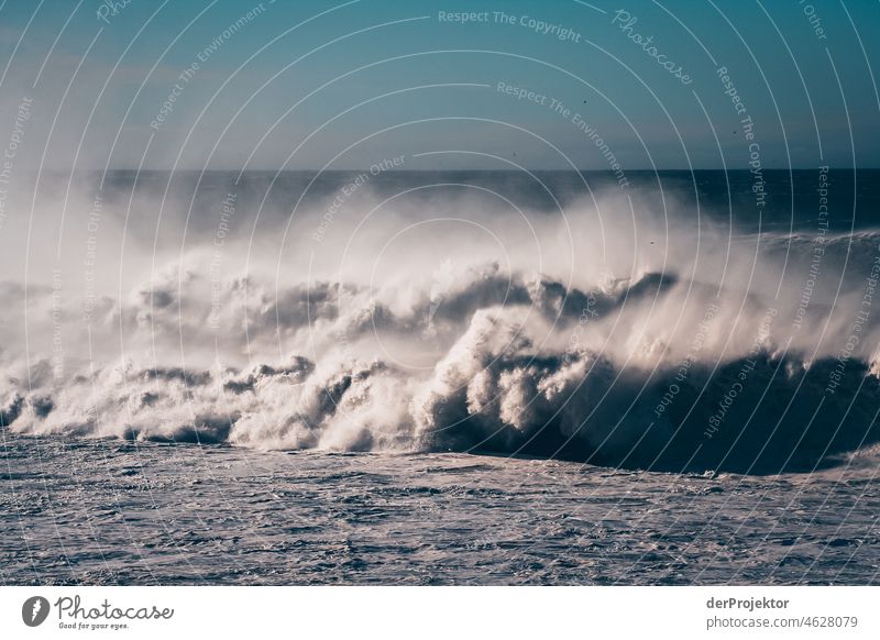 Strong swell after a storm in the Azores XIII Central perspective Deep depth of field Sunlight Reflection Contrast Shadow Copy Space middle Copy Space bottom