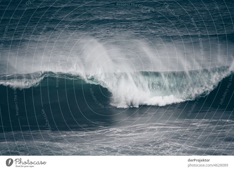 Strong swell after a storm in the Azores XII Central perspective Deep depth of field Sunlight Reflection Contrast Shadow Copy Space middle Copy Space bottom