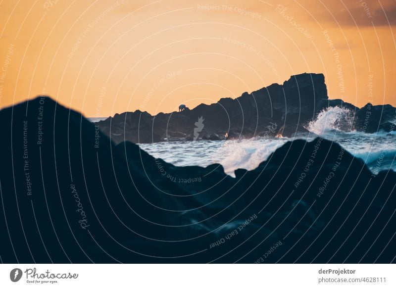 Waves and rocks in the Azores in the evening Central perspective Deep depth of field Sunlight Reflection Contrast Shadow Copy Space middle Copy Space bottom