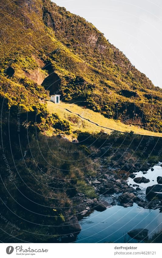 Valley view with sun in Azores Central perspective Deep depth of field Sunlight Reflection Contrast Shadow Copy Space middle Copy Space bottom Copy Space right