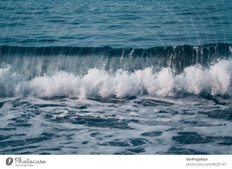 Strong swell after a storm in the Azores VIII Central perspective Deep depth of field Sunlight Reflection Contrast Shadow Copy Space middle Copy Space bottom