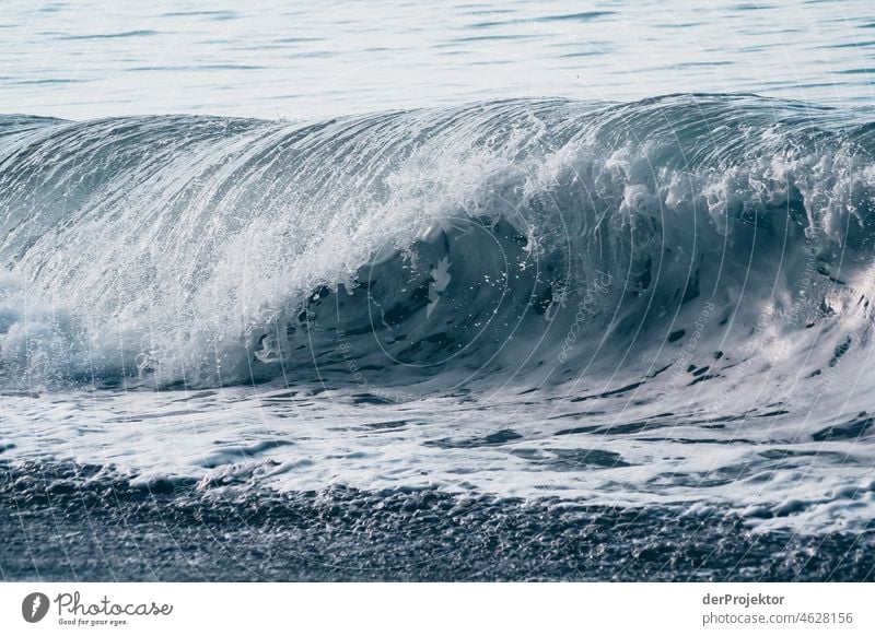 Strong swell after a storm in the Azores VII Central perspective Deep depth of field Sunlight Reflection Contrast Shadow Copy Space middle Copy Space bottom