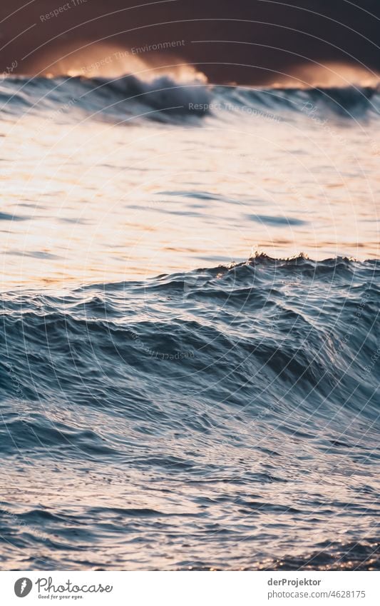 Waves on shore during sunset in Azores VIII Central perspective Deep depth of field Sunlight Reflection Contrast Shadow Copy Space middle Copy Space bottom