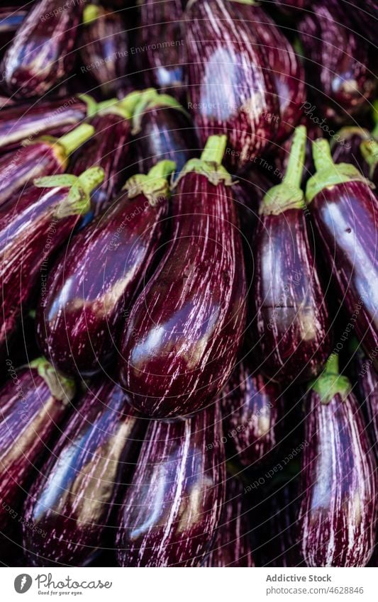 Bunch of aubergine vegetable in market eggplant bazaar purple food background heap stall organic healthy food various color brinjal pile aromatic vitamin whole