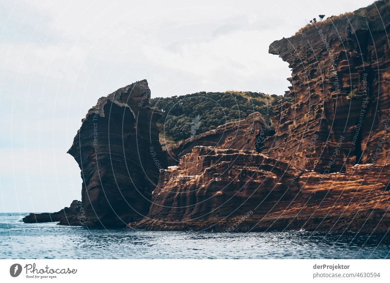 Rocks of a small island in the Azores Central perspective Deep depth of field Sunlight Reflection Contrast Shadow Copy Space middle Copy Space bottom