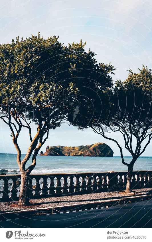 View of offshore island in Azores framed by two trees Central perspective Deep depth of field Sunlight Reflection Contrast Shadow Copy Space middle