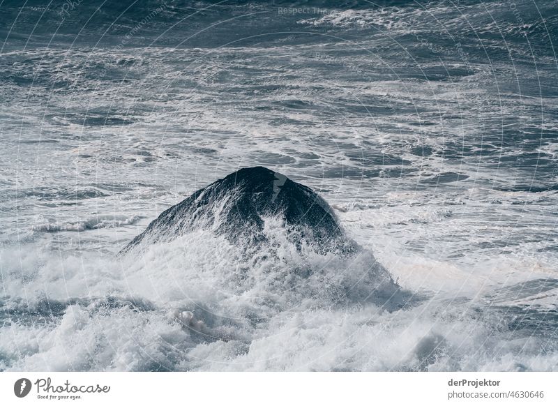 Strong swell after a storm in the Azores IV Central perspective Deep depth of field Sunlight Reflection Contrast Shadow Copy Space middle Copy Space bottom