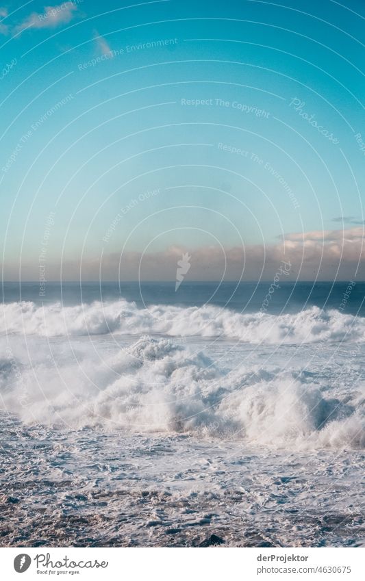 Strong swell after a storm in the Azores I Central perspective Deep depth of field Sunlight Reflection Contrast Shadow Copy Space middle Copy Space bottom