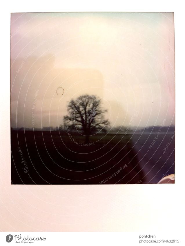 dreary landscape in winter seen through a train window. Polaroid Winter Landscape Tree Gloomy shut Nature reflection Train trip dreariness View from the window