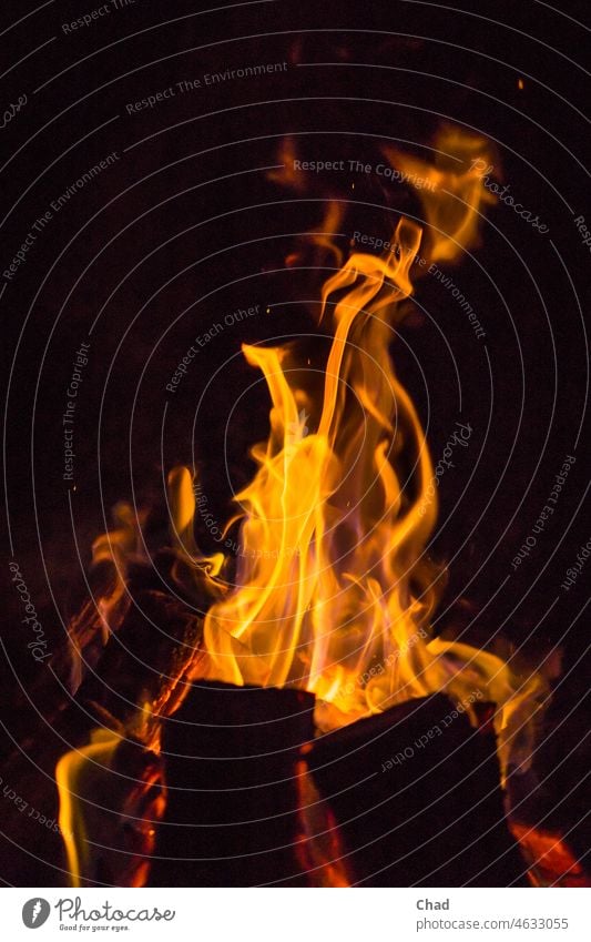 Wood fire 2 Shallow depth of field Twilight Evening Deserted Copy Space top Detail Exterior shot Colour photo Adventure Emotions Contentment Safety (feeling of)