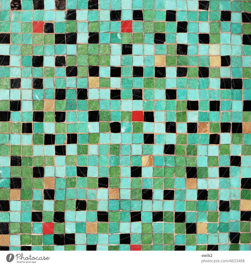 matrix Pattern Colour photo Detail Abstract mosaic tiles Square Mosaic Pixel Mixed Design Modern art Crazy Wild Retro Coincidence Muddled psychedelic Close-up