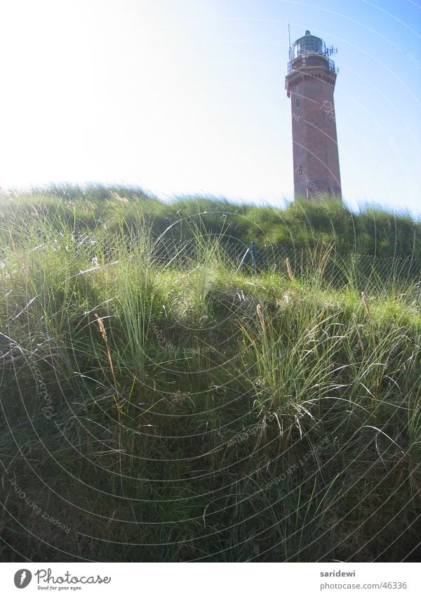 In September Lighthouse Meadow Norderney Green Sunbeam Calm Loneliness Beach dune Sky