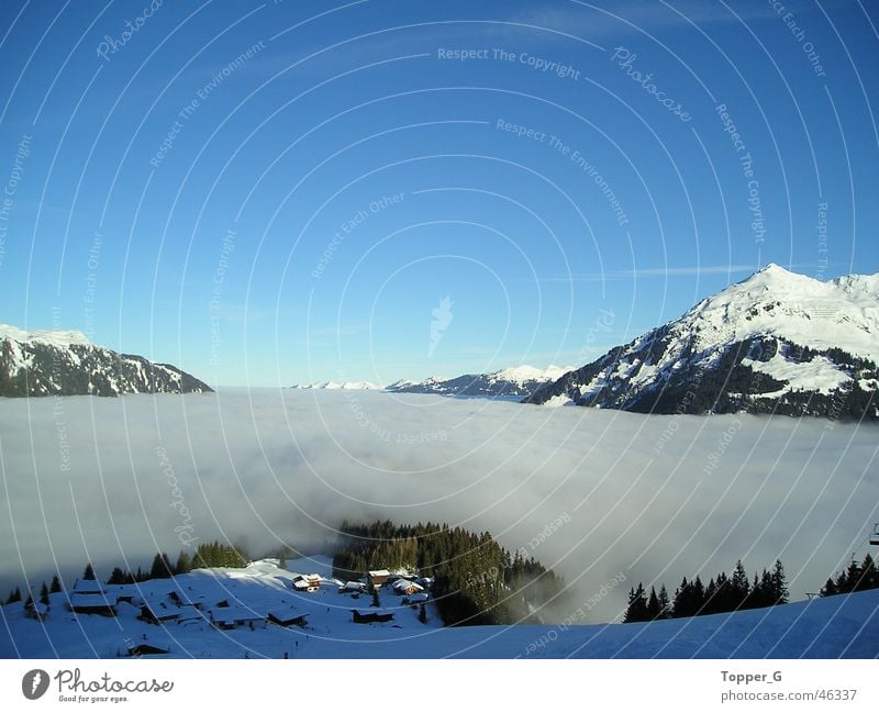 over the clouds... Clouds Austria Vacation & Travel Exterior shot Sky Blue Mountain Alps Snow Freedom