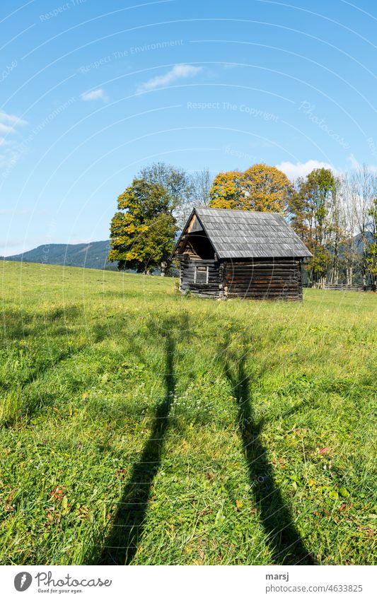 Greedily the shadows of the winter naked trees stretch against the cottage, autumn is at the end of winter approaches. Hut Hayrick Wood Stadl hay barnyard