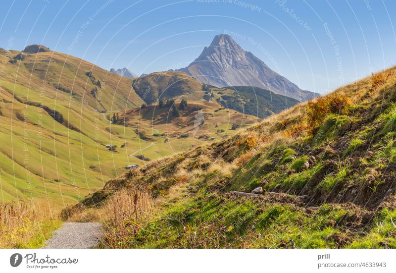 Around Warth in Austria Vorarlberg warth austria bregenz austrian alps alpine mountain hill summer sunny slope meadow pasture field path rural road farm track