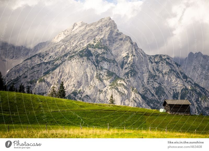 postcard greetings from tirol: 1€ Senses Relaxation Calm Vacation & Travel Summer vacation Mountain Hiking Environment Nature Landscape Tree Grass Alps Peak