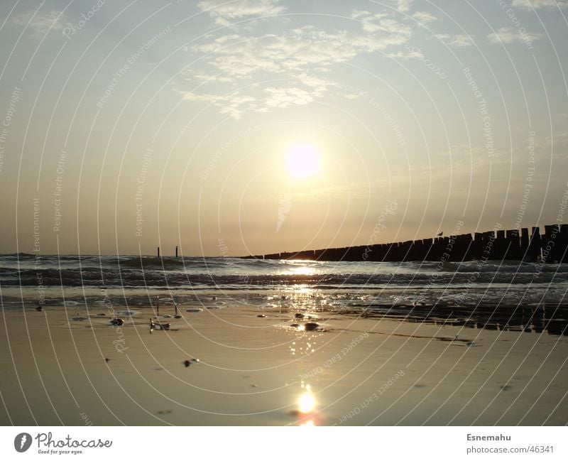 Friendly melancholy Beach Dark Twilight Ocean Clouds Glittering Light Far-off places Lake Sunset Sunrise Horizon Yellow Red White Brown Black Sky Bar Mail Water