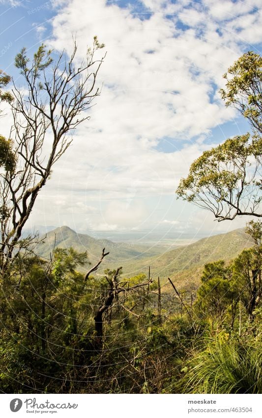 Green view Nature Landscape Plant Sky Clouds Summer Tree Foliage plant Exotic Forest Virgin forest Hill Mountain Natural Australia Vantage point Far-off places