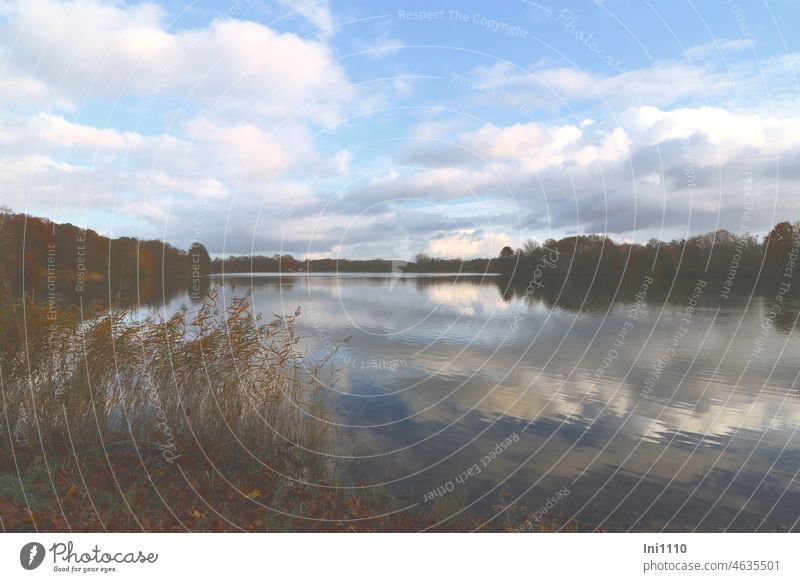 Cloud reflection in peat bog lake Landscape Nature Autumn autumn mood Beautiful weather Autumnal colours Water Peat bog lake Lake Sky Clouds in the sky