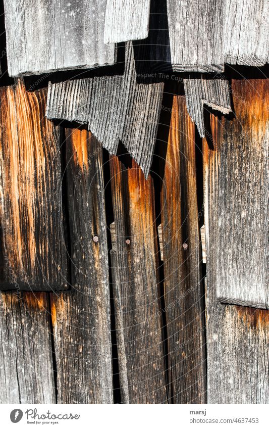 Disagreement. Should the broken larch shingle now go to the left or to the right? Protection is gone. Wood Wall (building) Together Old Contrast shingle wall