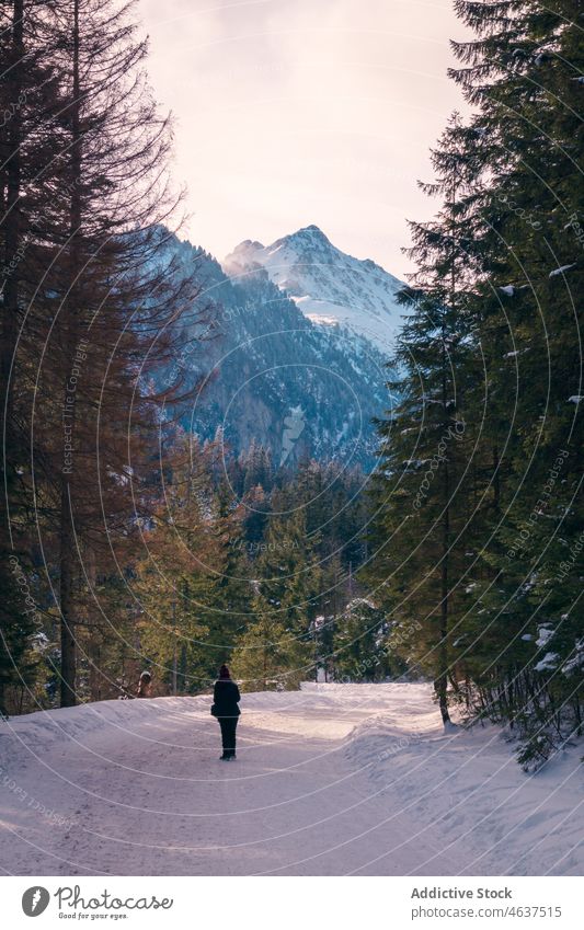 Unrecognizable person on snowy road against mountains traveler tatra winter path nature tree trip hoarfrost ridge frozen rock range slope tourist admire krakow