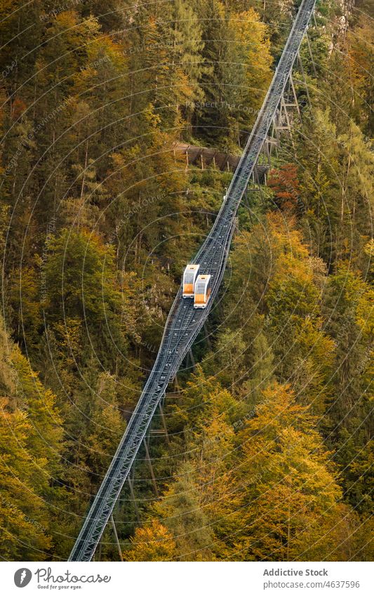 Railway bridge over forest in mountains nature railway landscape travel trip train austria tree railroad coniferous picturesque green countryside evergreen