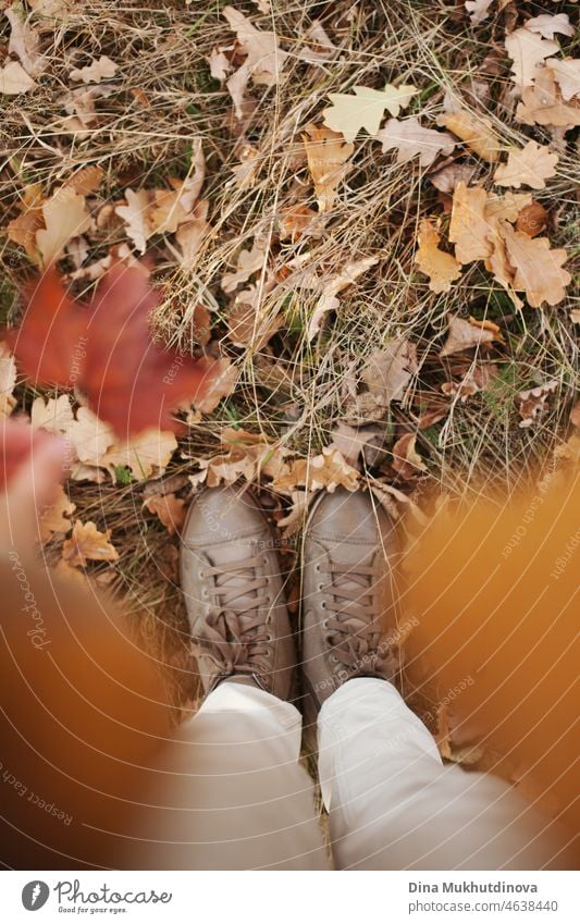 female legs in autumn shoes on autumnl leaves and grass in the park. Conceptual image of legs in shoes on the autumn leaves. Feet shoes walking in nature.