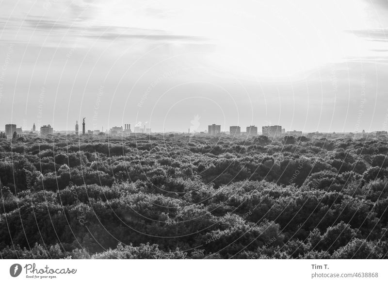 View over Berlin Tiergarten Berlin zoo Skyline Capital city Germany big star Monument Victory column Goldelse victory statue Deserted Copy Space