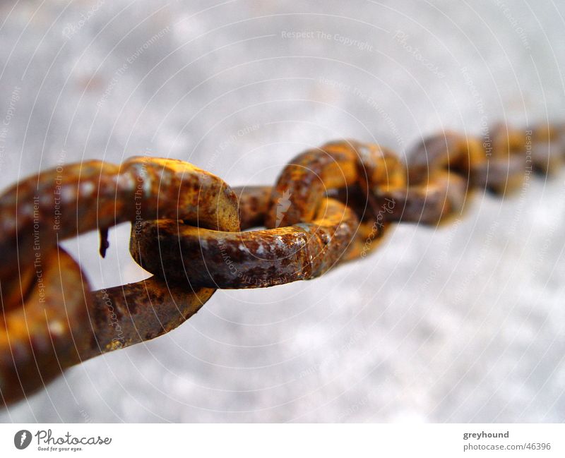 corroded Chain link Iron Barrier Rust Metal Connection