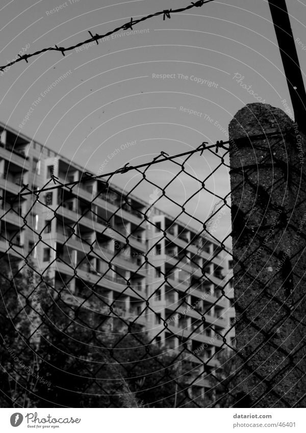 Panel with fence Prefab construction Fence Barbed wire East Berlin Marzahn-Hellersdorf Black & white photo