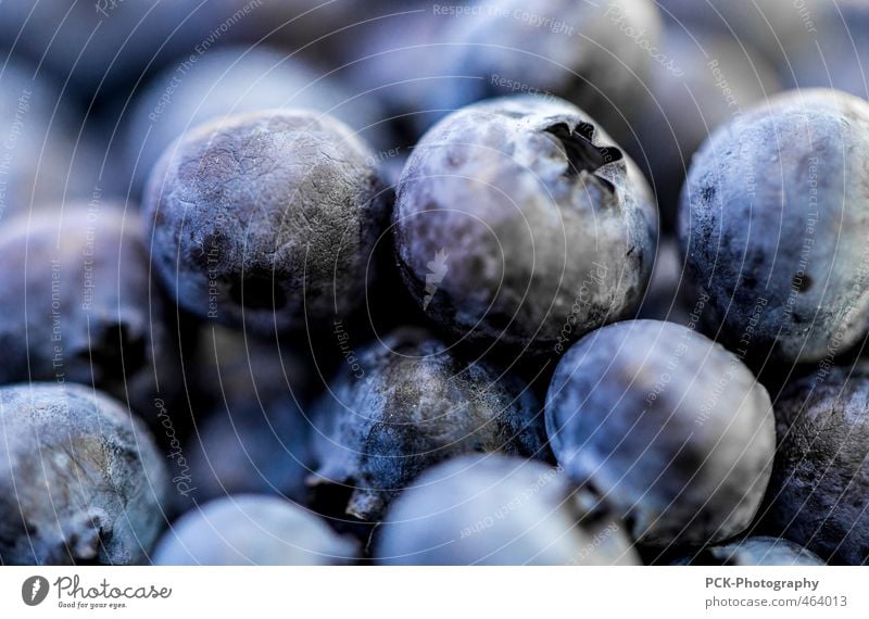 Blueberry scramble Fruit Nutrition Nature Violet Food Fruity Juicy Narrow Attachment Colour photo Close-up Detail Macro (Extreme close-up)