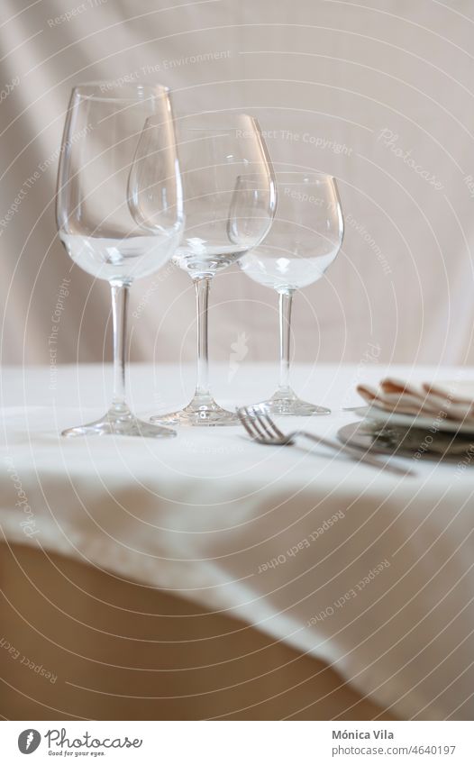 A dining table set for eating. Wine glass, water glass, plate, fork, knife, napkin, tablecloth. dining room winw wine glass tablecoth