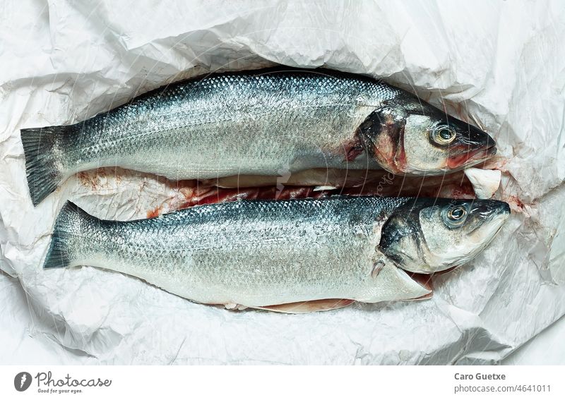 Fresh sea bass fresh sea bass fresh fish Fish sea fish Lubina Lubina Fresca Food Component seafood Colour photo