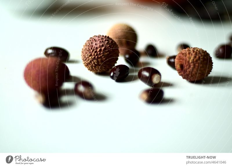 Some sweet exotic lychee fruits and blank lychee seeds lie on a white table and cast shadows. Daylight close up Exotic Litchi Lychee Edible nut shell