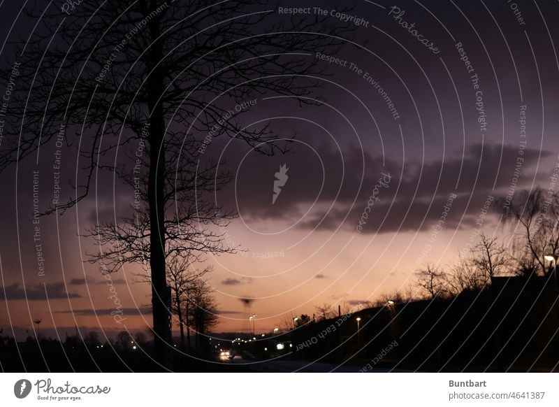 See the night sky by the road Sky Clouds Moody sunset Silhouette Tree Street Twilight Sunset Evening Dusk Exterior shot Sunlight Calm Landscape