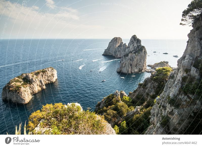 View of the Faraglioni rocks - Capri Rock Ocean Islands Nature Landscape Water Blue Horizon wide Vantage point Stone Tall Summer vacation boats Tourism plants