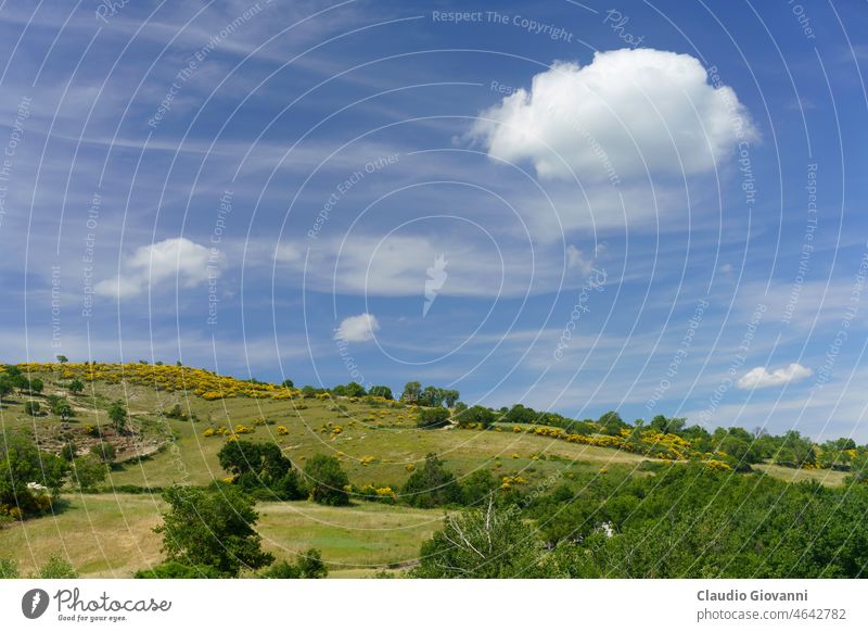 Landscape in Molise near Macchiagodena and Frosolone Europe Isernia Italy June color day field flower green hill landscape mountain nature outdoor photography