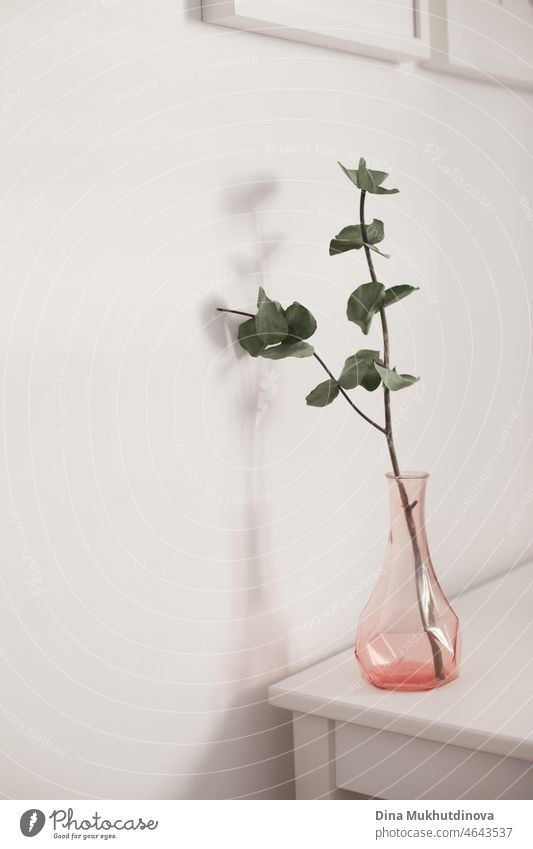 vase with green eucalyptus at home on white table in living room. MInimal floral eco decor at home apartment. frame interior composition advertising minimal