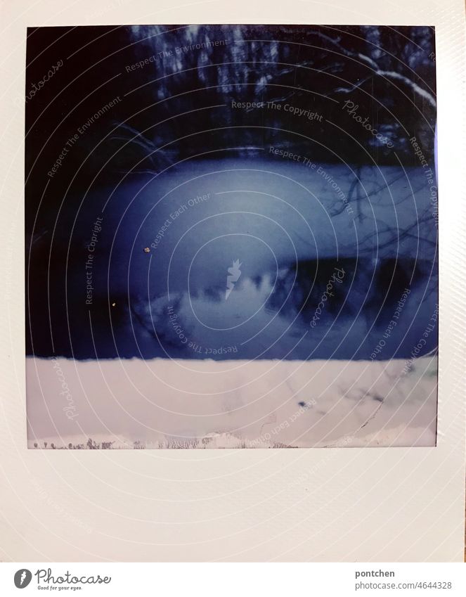 polaroid shows snow in front of a partially frozen lake. ice and water. winter Winter Ice Snow Frozen Polaroid Lake ponds Pond chill Nature Tree reflection