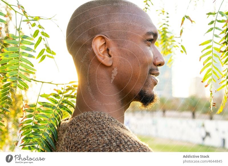 Happy black man admiring cityscape street observe admire bridge male bald african american town sunshine sunlight summer style environment summertime plant