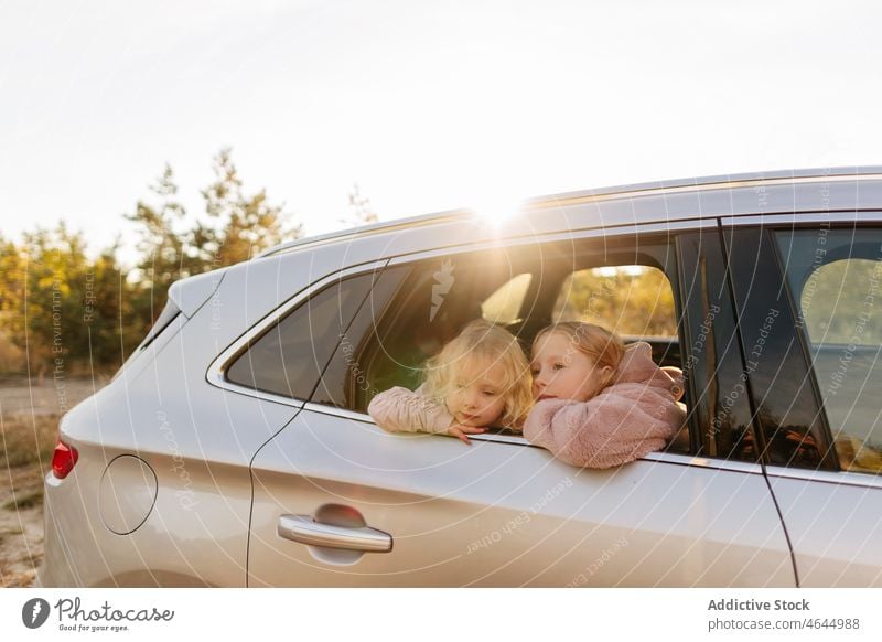 Sisters looking out of car window sister girl road trip pastime passenger countryside nature automobile commute vehicle journey children transport leisure