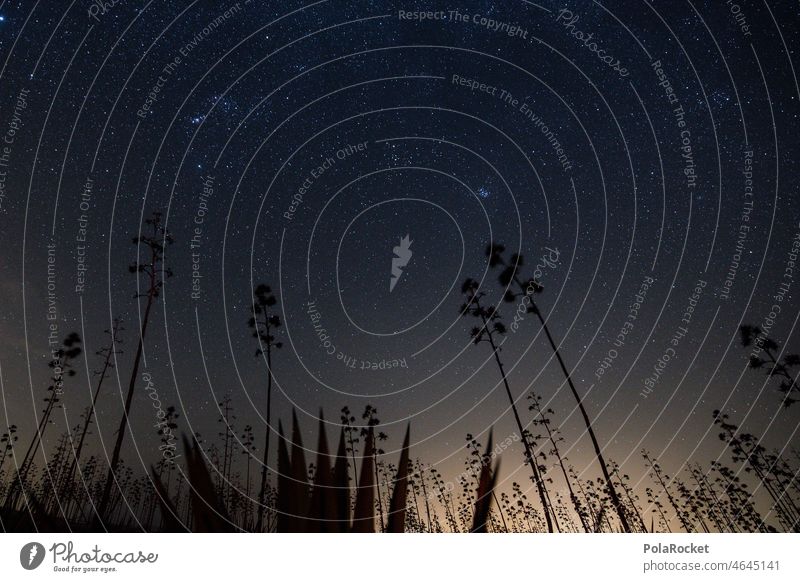 #A0# Canary stars IV Fuerteventura canary island Canary Islands Canaries Longing Horizon Far-off places Infinity Dark Astrophotography Milky way Exterior shot