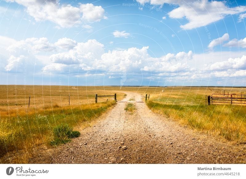 Rural landscape in Montana with a summer meadow behind a fence rural landscape colorado field hill countryside nature sky farm agriculture scenic usa gate