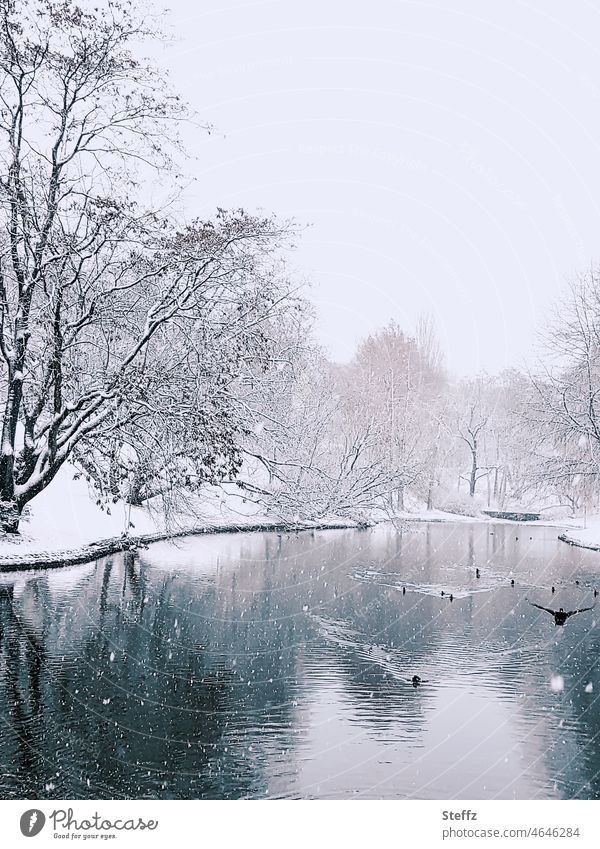 Winter at the pond Pond Shore of a pond Duck pond Park Snowfall waterfowls chill ducks Winter walk snow-covered December Snow layer winter winter cold