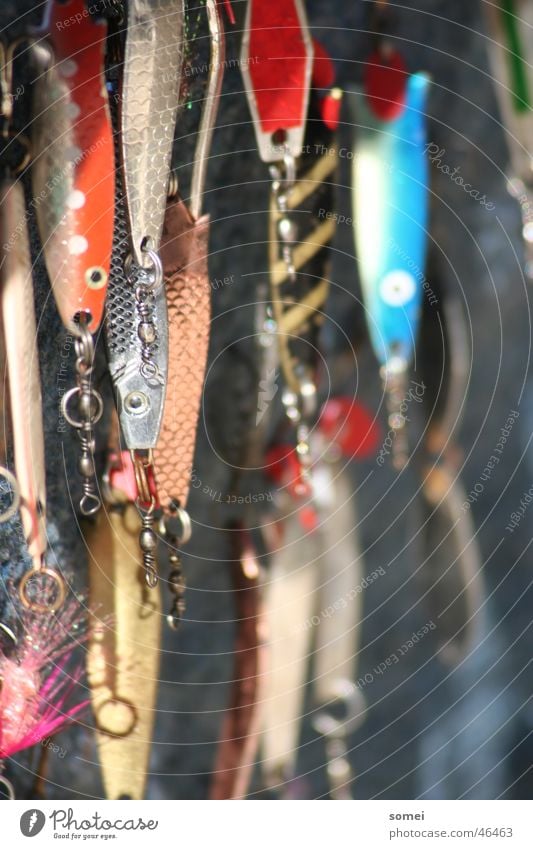 The bait Ocean Fishing (Angle) Time Lake Catch String Fishing line Checkmark Spoon bait Fishing rod Fisherman Multicoloured Blur Depth of field New Zealand