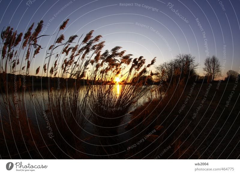 Sunset Nature Landscape Water Sky Sunrise Beautiful weather Lakeside Exterior shot Deserted Wide angle