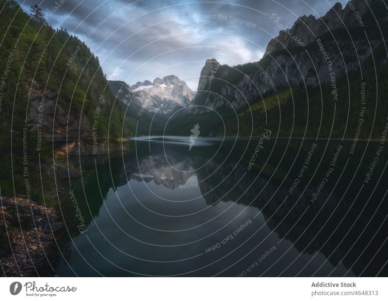 Gosauseen lake against mountain ridge river water forest tree rock woodland overcast stone range landscape cloudy majestic environment calm flow slope formation