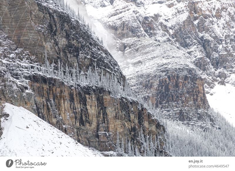 Winter landscape in the Rockies Rocky Mountains Canada Snow Cold chill Alberta Vacation & Travel North America Deserted Landscape Adventure Exterior shot